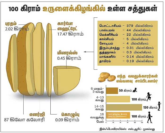 உலகை ஆளும் உருளைக்கிழங்கு... யாருக்கு? எப்படி?