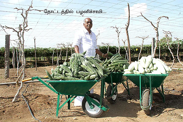 12 ஏக்கர்... 7 மாதங்கள்... 25 லட்சம்...
