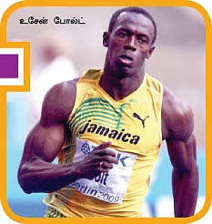 நியூ ஸ்போர்ட்ஸ்