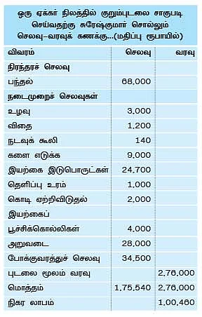 ஏக்கருக்கு ஒரு லட்சம்... பந்தல் காய்கறி... பக்காவான வருமானம்...