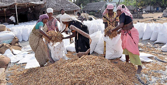 நீங்கள் கேட்டவை