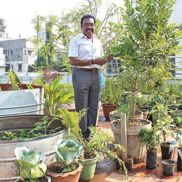 மாடியில் தோட்டம்... மனதுக்கு புத்துணர்ச்சி!