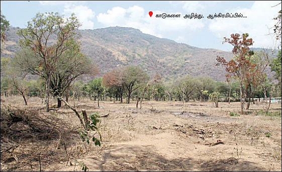 அபாயக் கட்டத்தில் மேற்குத் தொடர்ச்சி மலை!