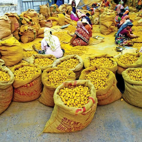 அள்ளித்தரும் அக்கரைச் சீமை... ஏற்றுமதிக்கு வழிசொல்லும் வெற்றி சூத்திரங்கள்! - 8