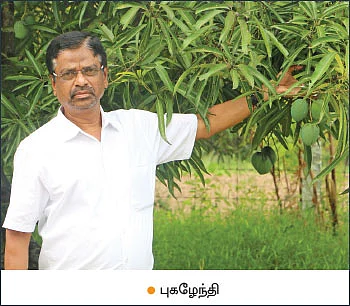 அள்ளித்தரும் அக்கரைச் சீமை... ஏற்றுமதிக்கு வழிசொல்லும் வெற்றி சூத்திரங்கள்! - 4