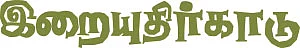 இறையுதிர் காடு - 13