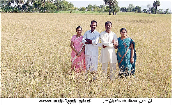 'மொழி கருப்புச் சம்பா...'
