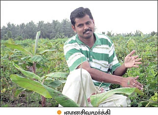 உரச்செலவைக் குறைத்த ஊடுபயிர்...