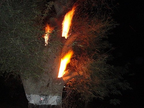 பா.ம.க.வினர் இன்றும் வன்முறை: வட மாவட்டங்களில் பதற்றம் (படங்கள்)