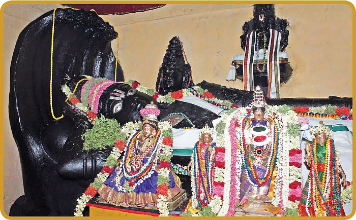 பொன்னும் பொருளும் அருளும் அனந்தநாராயணர்!