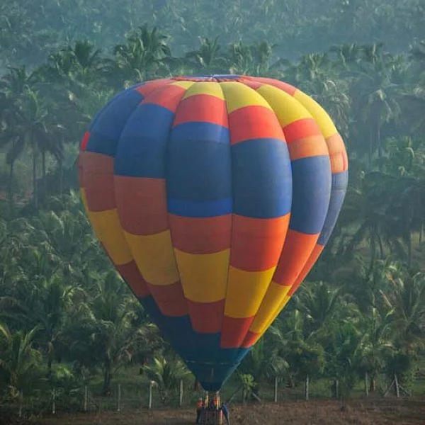 பொள்ளாச்சியில் நடைபெற்ற பலூன் திருவிழா... அசத்தல் புகைப்படத் தொகுப்பு - க.விக்னேஸ்வரன், ல.அகிலன்