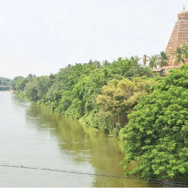சீரழிந்த நீர் மேலாண்மை... வாடும் காவிரி டெல்டா!