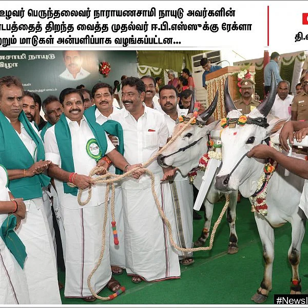 தமிழக முதல்வருக்குப் பரிசளிக்கப்பட்ட மாடுகள்... கோடியக்கரை கடற்கரையில் பிடிபட்ட ராட்சத மீன்... #NewsInPhotos