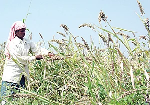 செலவு இல்லை... வரவு மட்டுமே...