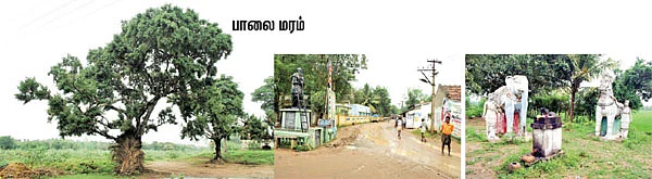 என் ஊர்!