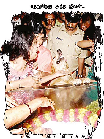 'ரவியின் மரணத்தில் அரசியல்புள்ளிகளின் அழுத்தம் இருக்கிறது!’