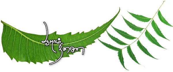 ஆறாம் திணை - 85