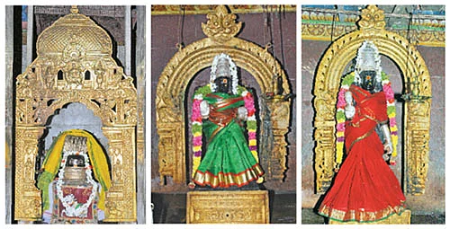 'சாமுண்டி வரப்பிரசாதி!'