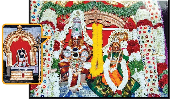 ஸ்ரீநடராஜர் தரிசனம்! - திருமங்கலம்