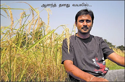 பலம் தரும் பஞ்சகவ்யா... விரட்டியடிக்கும் வசம்பு...