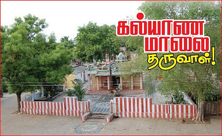 கல்யாண மாலை தருவாள்!