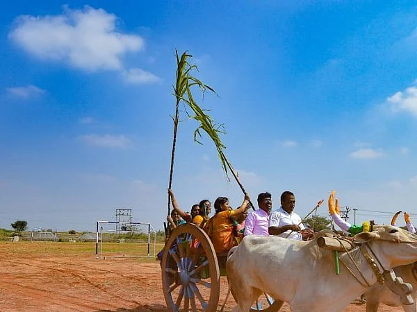 `மாட்டுவண்டி பயணம்; உறியடி போட்டி!’ - பொங்கல் வைத்து தைத்திருநாள் கொண்டாடிய மாணவிகள்