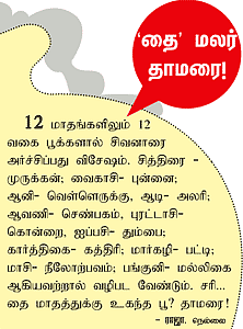 ஆலயம் தேடுவோம்!