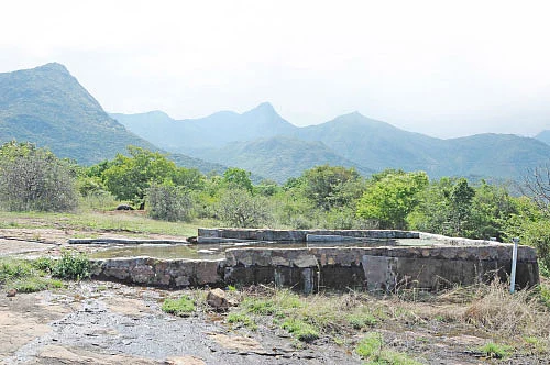 35 ஏக்கர்... ஆண்டுக்கு ரூ.18 லட்சம்...இணைய விற்பனையில் கலக்கும் இளம் விவசாயி!