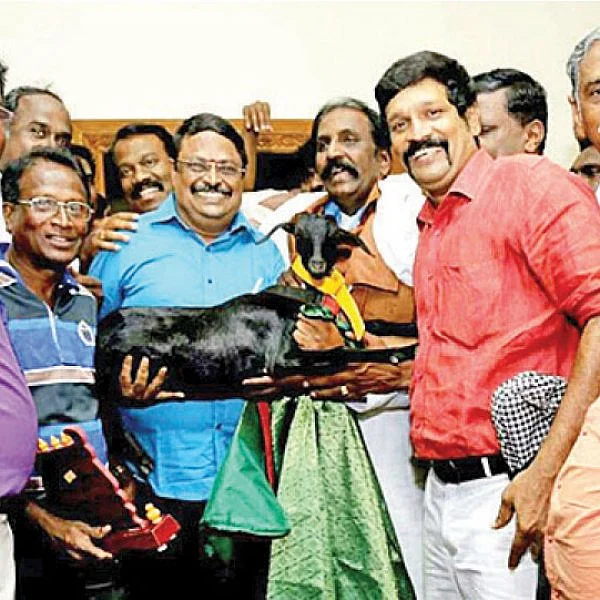 பிறந்த நாள் பரிசாக ஆடு... களிப்பில் ஆழ்ந்த கவிஞர்!
