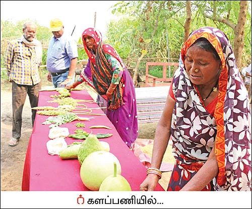 பாரம்பர்ய பயிர்களைப் பாதுகாக்கும் பன்னாட்டு அமைப்பு!