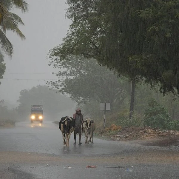 நாகையில் மையம் கொண்டுள்ள ‘கஜா’ - 6 மாவட்டங்களில் கன மழைக்கு வாய்ப்பு