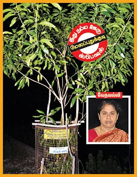 சக்தி சுரபி!
