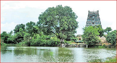 'சாமுண்டி வரப்பிரசாதி!'