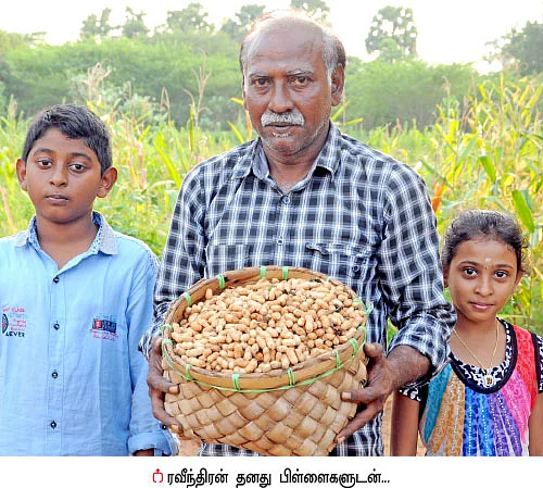 நிச்சய வருமானம் கொடுக்கும் நிலக்கடலை!.