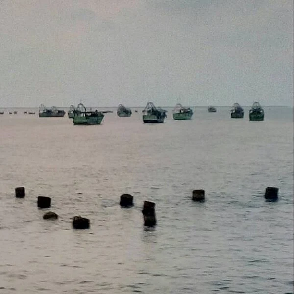 தமிழக மீனவர்களின் படகுகளை விடுவிப்பதாக இலங்கை அரசு அதிகாரபூர்வ அறிவிப்பு