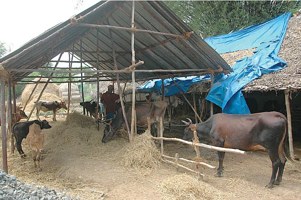சித்தமெல்லாம் சித்தமல்லி - 7!