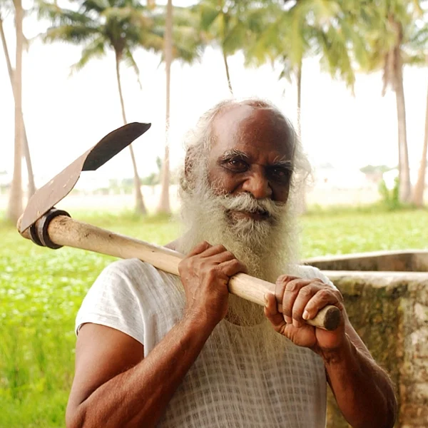 "வேலையை விடுறது பறவையின் விடுபடலுக்குச் சமமானது!" - நம்மாழ்வார் வாக்கு