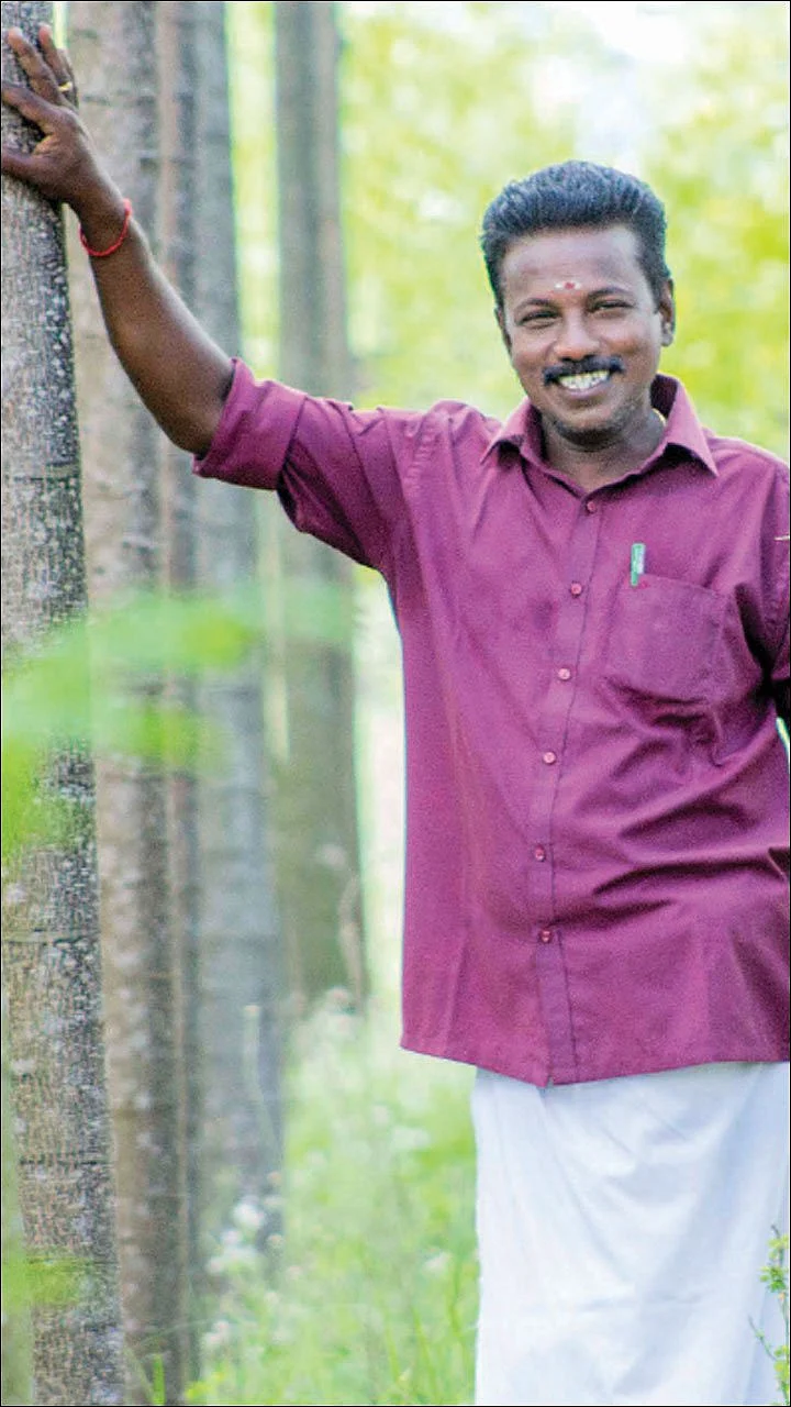 பலவகை மரச்சாகுபடி... எதிர்காலச் சேமிப்புக்கு எளிய வழி!