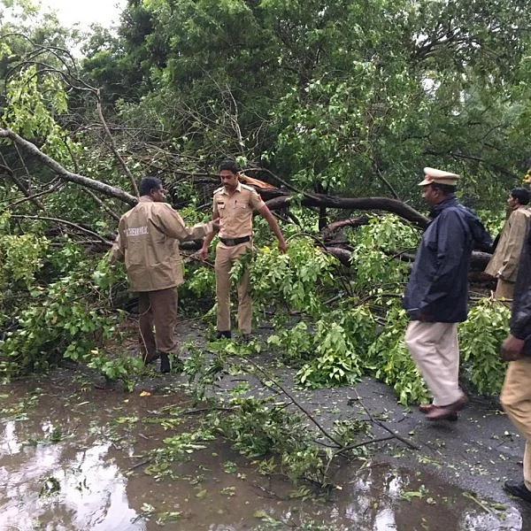 வேதாரண்யத்தை முடக்கிப்போட்ட கஜா புயல் - மீட்புப் பணிகள் தீவிரம்