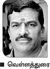 சக்கைப்போடு போடும் இயற்கை சம்பங்கி!
