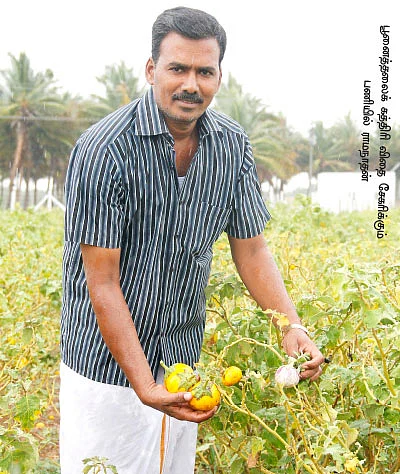 அரை ஏக்கர்... 18 மாதங்கள்... 2 லட்சம்
