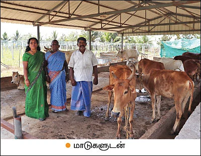 மரப்பயிர்கள், பழப்பயிர்கள், காய்கறிகள், மதிப்புக்கூட்டல்!