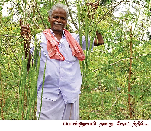 30 சென்ட்...ரூ.50 ஆயிரம்...