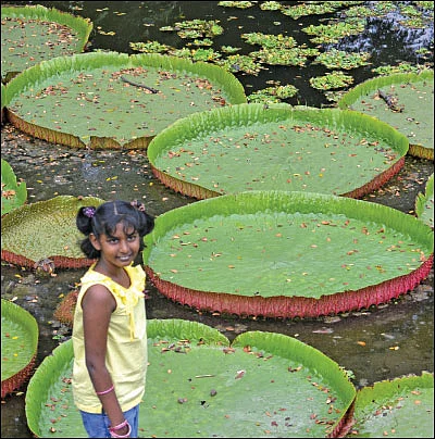 பெண் பயணம் - தனியே தன்னந்தனியே!