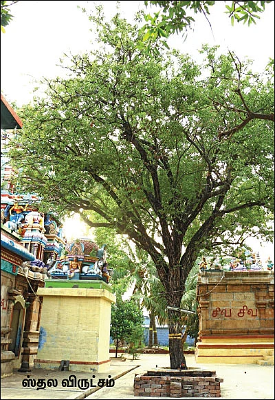 பூர்வஜன்ம பாவம் நீக்கும் பிரம்மலிங்கேஸ்வரர்!