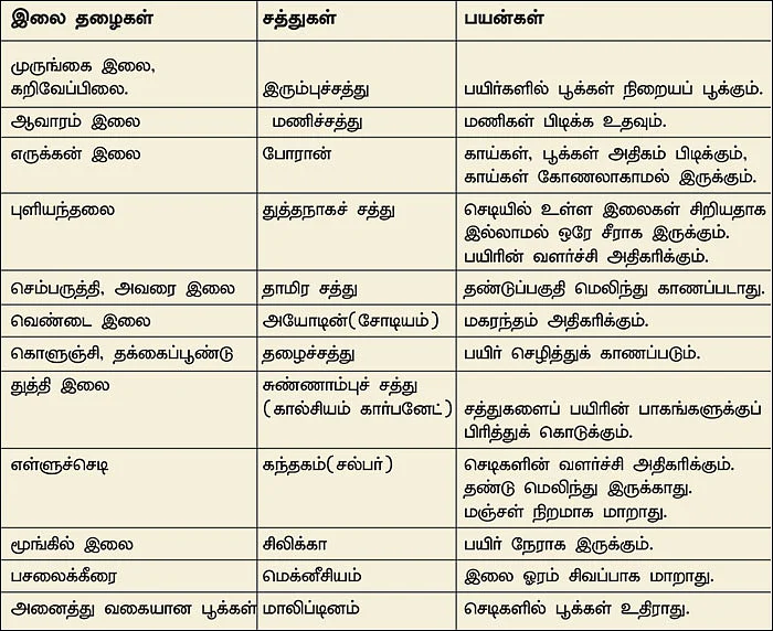 மண்புழு மன்னாரு: மூக்குப் பொடி அளவு உரமும் மகசூலைக் கூட்ட உதவும்!