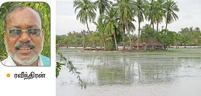 கொட்டித் தீர்த்த மழை...கொண்டாட வேண்டியவர்கள்... திண்டாடிய சோகக் கதை!