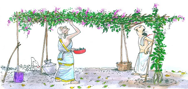 மண்புழு மன்னாரு: கண்பார்வைக்கு அவரை...நீரிழிவுக்கு பரங்கி!