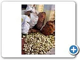 கூடங்குளம்... போராட்ட பூமி! - சிறப்பு புகைப்படத் தொகுப்பு