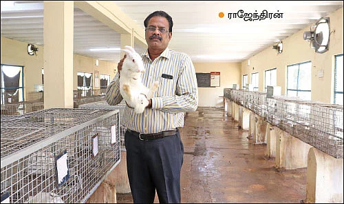 பணம் குவிக்கும் பண்ணைத்தொழில்கள் - 7 - மாதத்துக்கு ரூ. 45,000 லாபம்!